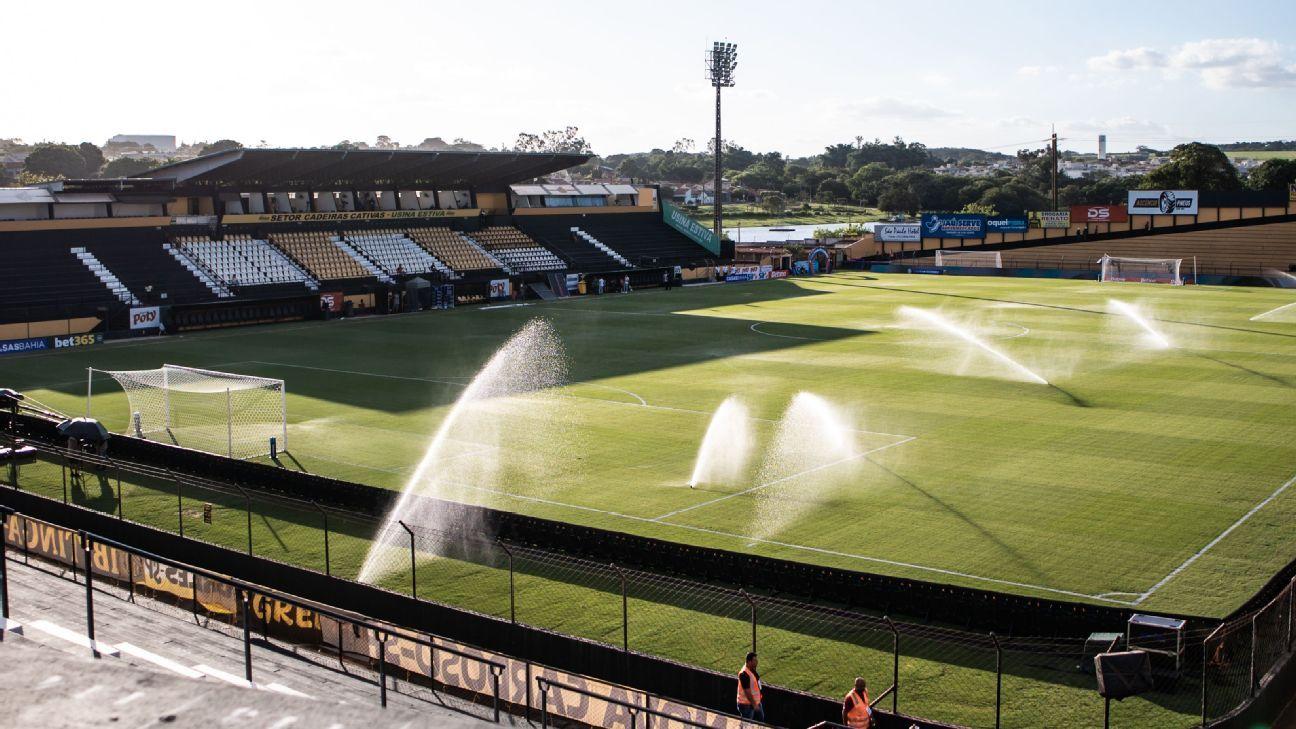 Novorizontino x Palmeiras: os números que definem a final do Paulistão 2026